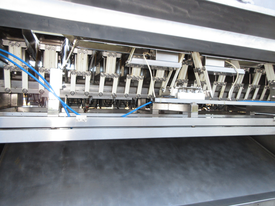 6071 Newtec 2012DG carrot weigher