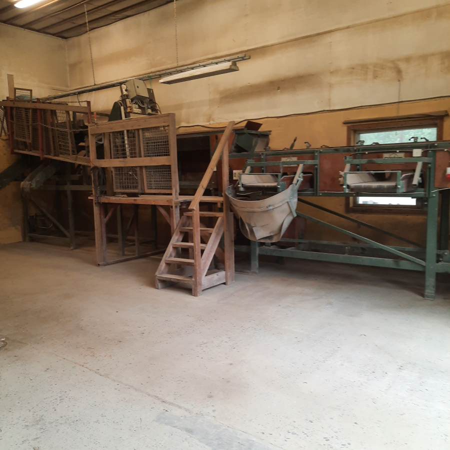 6144 Compas potato grading line