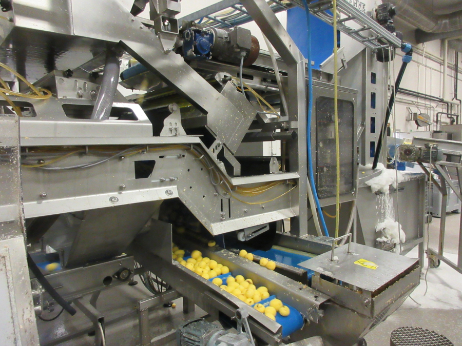 6147 Odenberg optical sorter