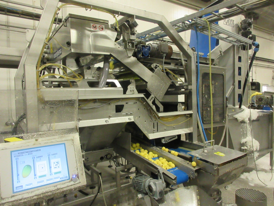 6147 Odenberg optical sorter