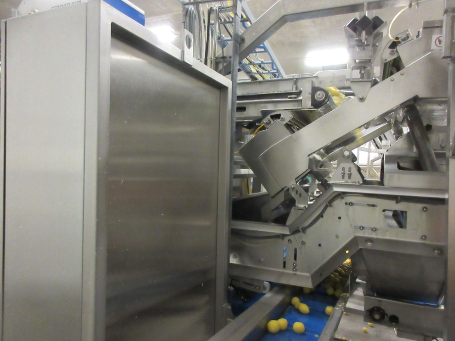 6147 Odenberg optical sorter