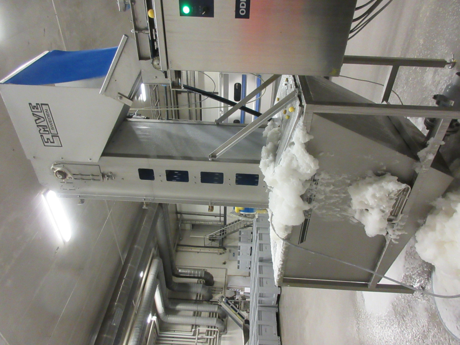 6147 Odenberg optical sorter