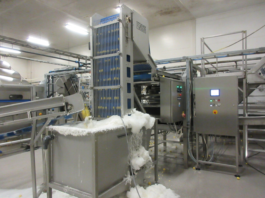 6147 Odenberg optical sorter