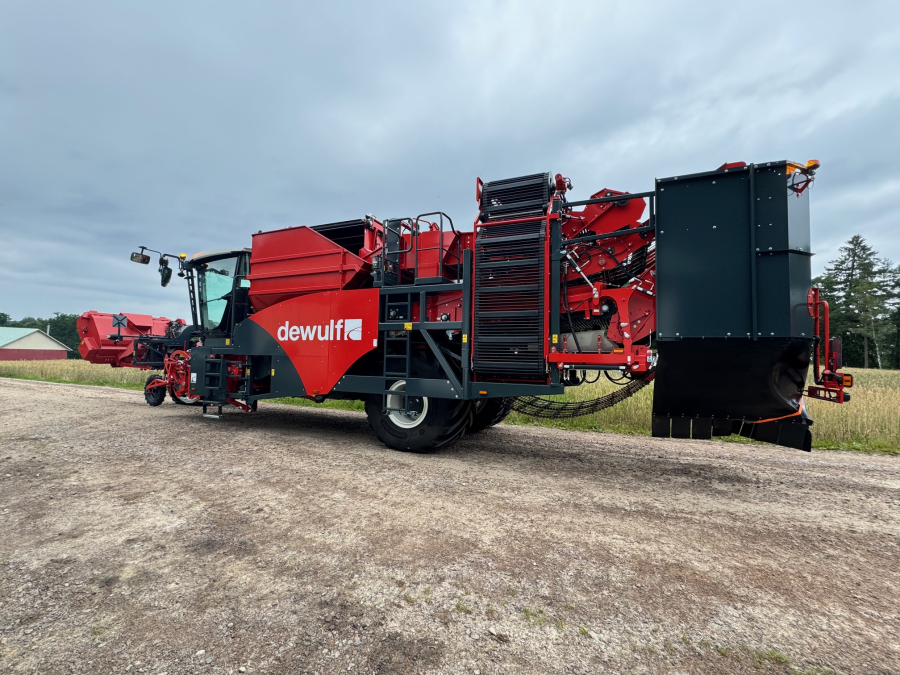 6161 Dewulf RQA3060 potato harvester