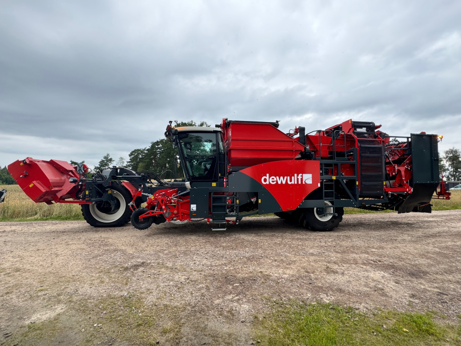 6161 Dewulf RQA3060 potato harvester