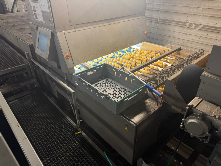 6187 Newtec Celox optische Sortierer für Kartoffeln