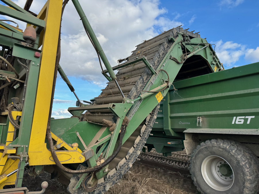 6202 Ploeger potato harvester 4 row with elevator