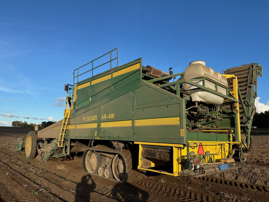 6202 Ploeger potato harvester 4 row with elevator