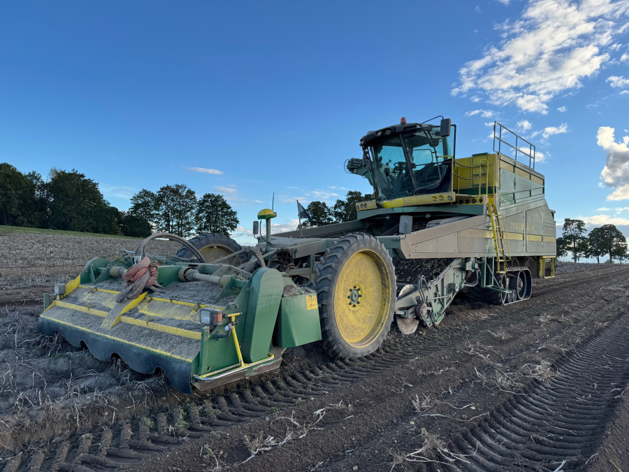 6202 Ploeger potato harvester 4 row with elevator