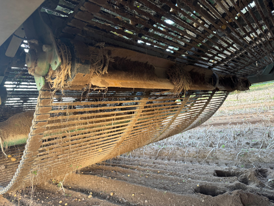 6202 Ploeger potato harvester 4 row with elevator