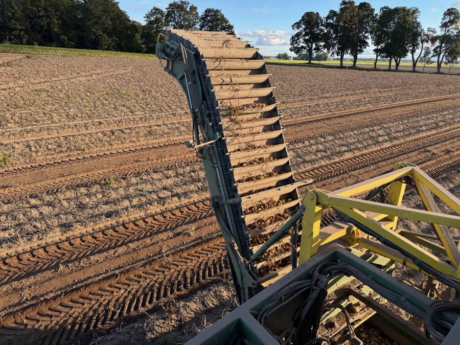 6202 Ploeger potato harvester 4 row with elevator