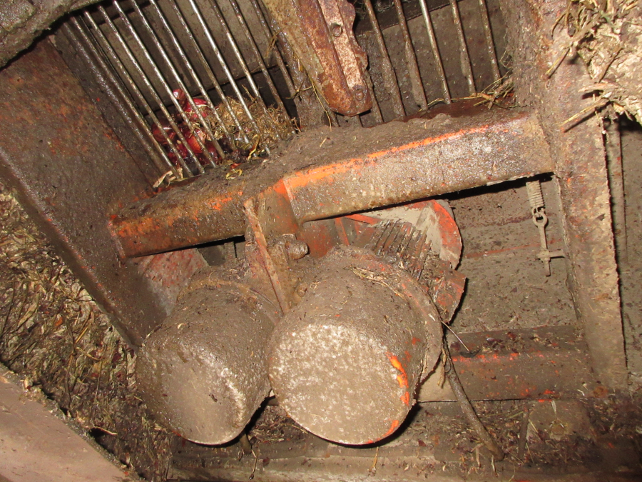 6204 Holaras onion topper stationary