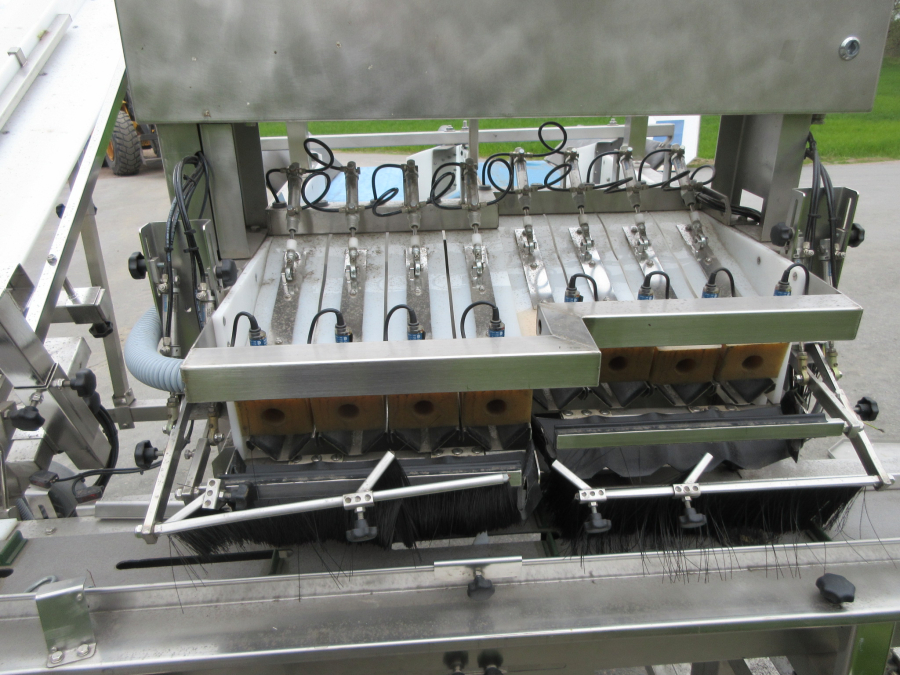 6236 Newtec + Gillenkirch packaging line for apple in plastic bags
