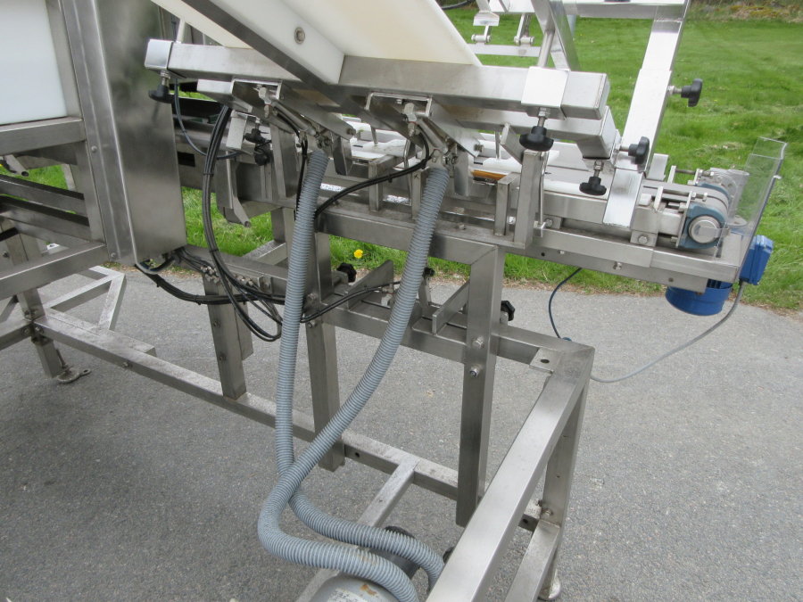 6236 Newtec + Gillenkirch packaging line for apple in plastic bags