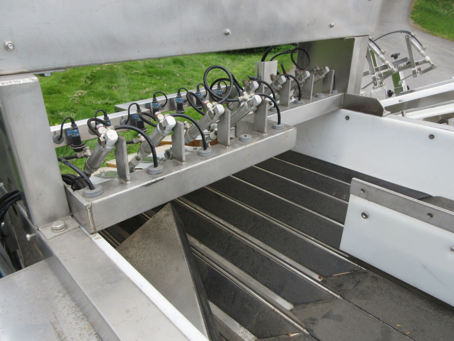 6236 Newtec + Gillenkirch packaging line for apple in plastic bags