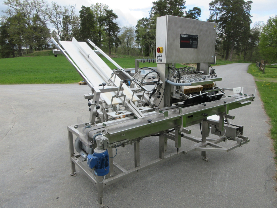 6236 Newtec + Gillenkirch packaging line for apple in plastic bags