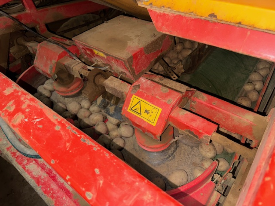 6261 Koningsplanter potato planter 4 row