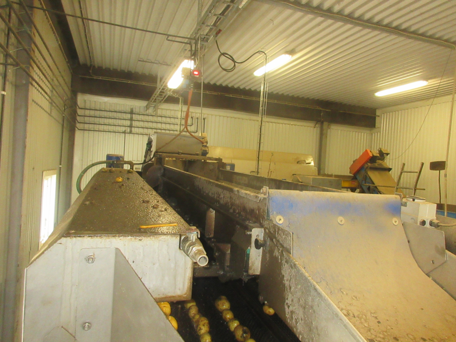 6292 Tong potato washing line with destoner and polisher Stainless steel