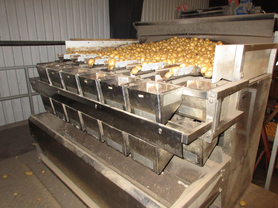 6300 Newtec 3013XL weigher with Jasa and Ilapak vertical baggers