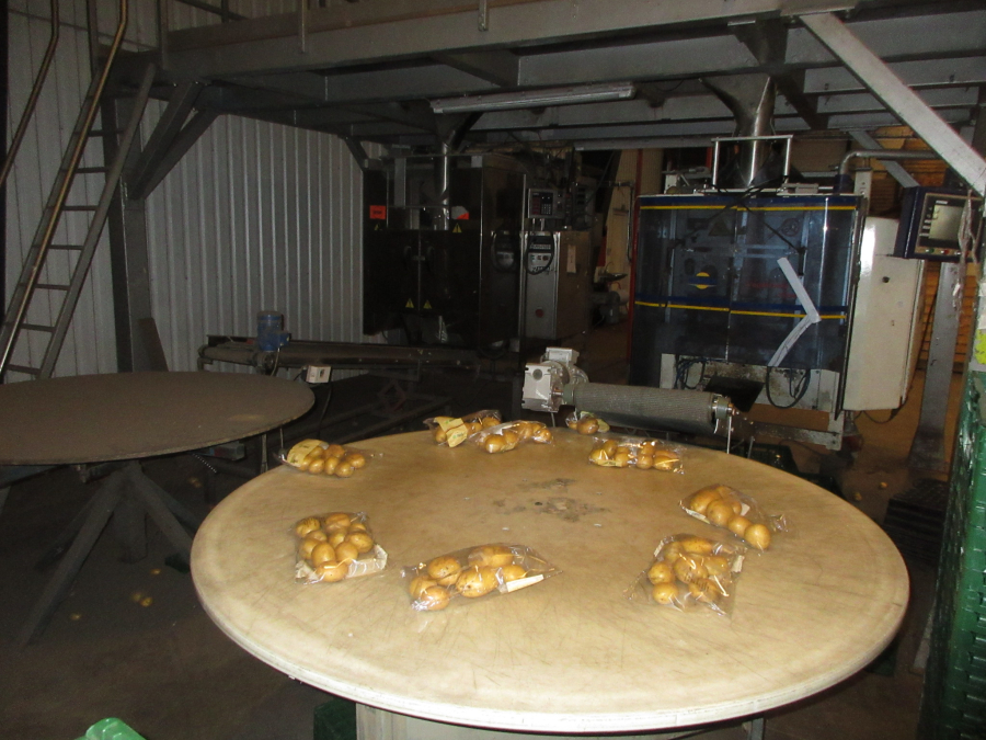 6300 Newtec 3013XL weigher with Jasa and Ilapak vertical baggers
