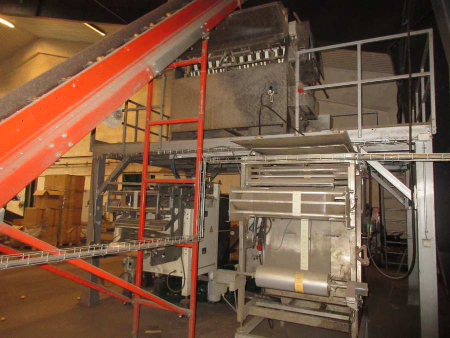 6300 Newtec 3013XL weigher with Jasa and Ilapak vertical baggers