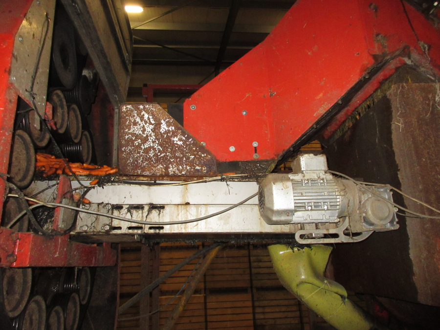 6318 EKKO washing line with polisher for root vegetables