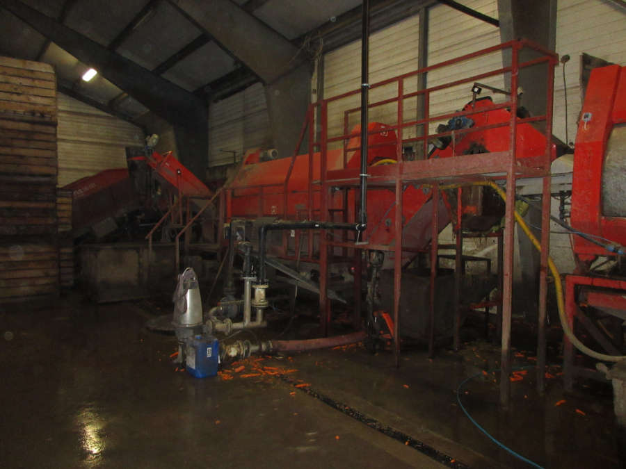 6318 EKKO washing line with polisher for root vegetables