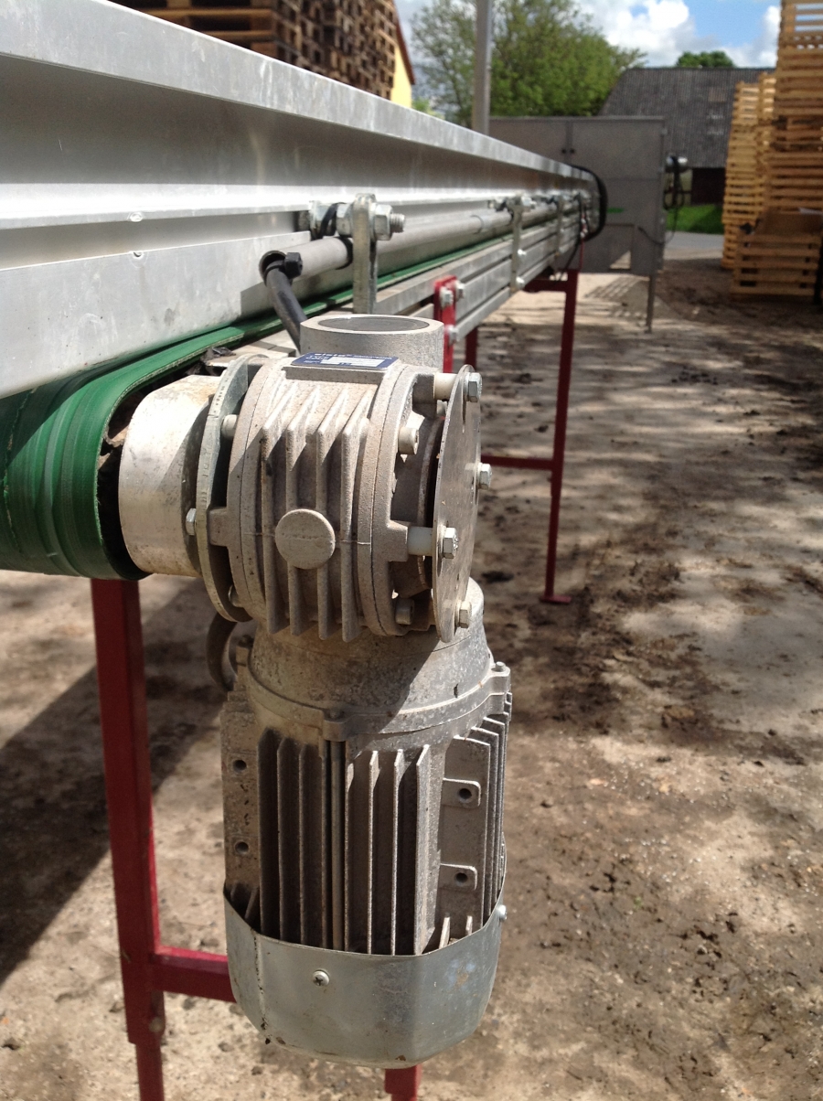 3531 Nosma cabbage cleaning line year model 2011