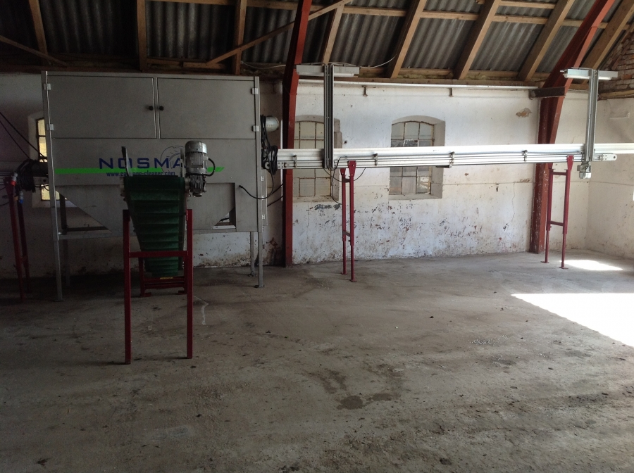 3531 Nosma cabbage cleaning line year model 2011