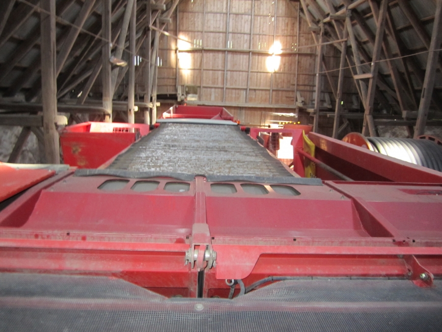 3614 Grimme Maxtron 620 beet harvester 6 row