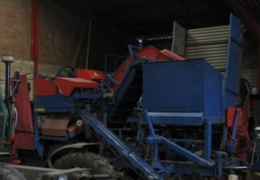 3621 Asa-Lift carrot harvester 1 row trailed with bunker 