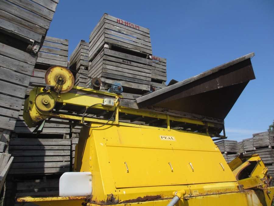 3626 Tong peal Kartoffelwäschmaschine