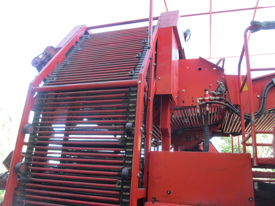 3636 Dewulf RDT Superia 2 Reihe Kartoffelroder mit bunker