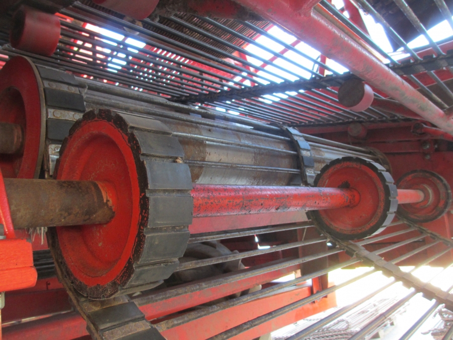 3636 Dewulf RDT Superia 2 Reihe Kartoffelroder mit bunker
