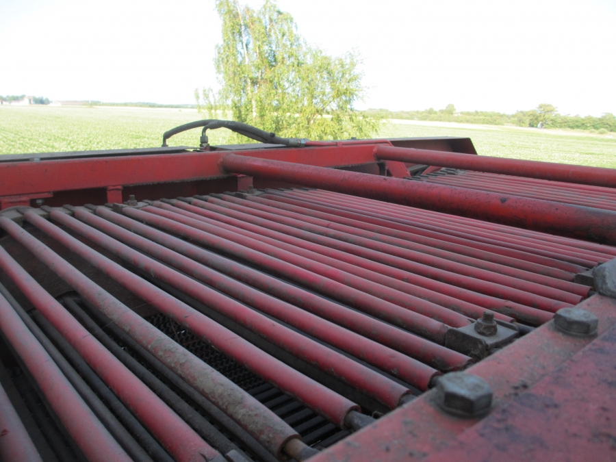 3636 Dewulf RDT Superia 2 Reihe Kartoffelroder mit bunker