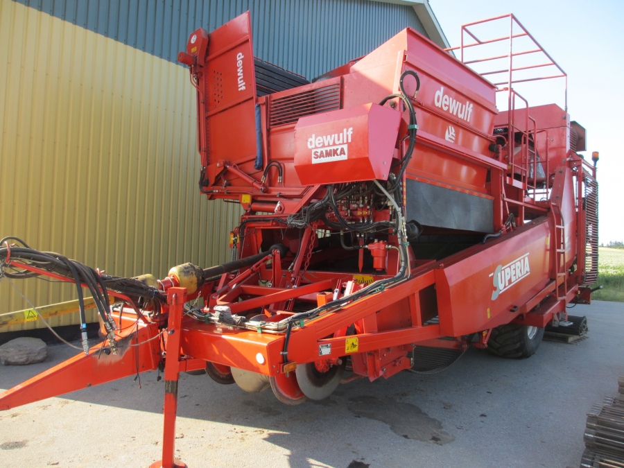 3636 Dewulf RDT Superia 2 Reihe Kartoffelroder mit bunker