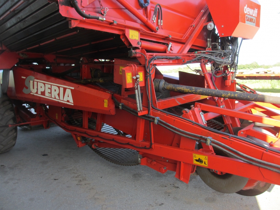 3636 Dewulf RDT Superia 2 Reihe Kartoffelroder mit bunker