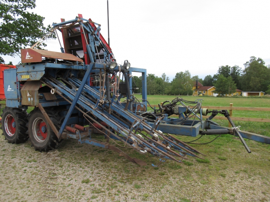 3640 Asa-Lift carrot harvester T-200 2 row with elevator