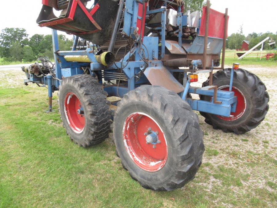 3640 Asa-Lift carrot harvester T-200 2 row with elevator