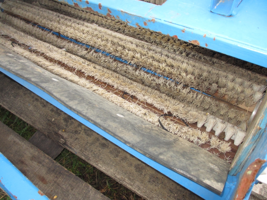 3646 Emve potato brushing machine