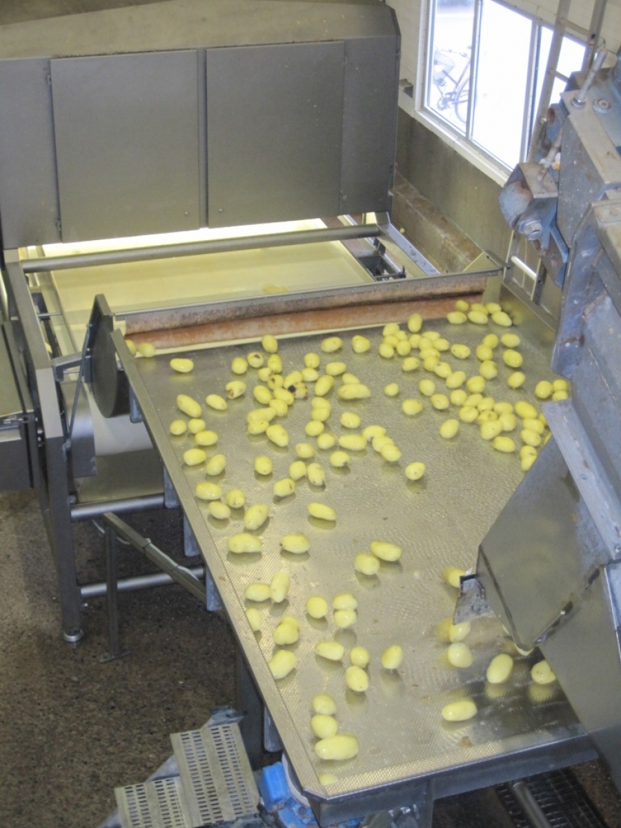 3662 Complete Potato Processing line