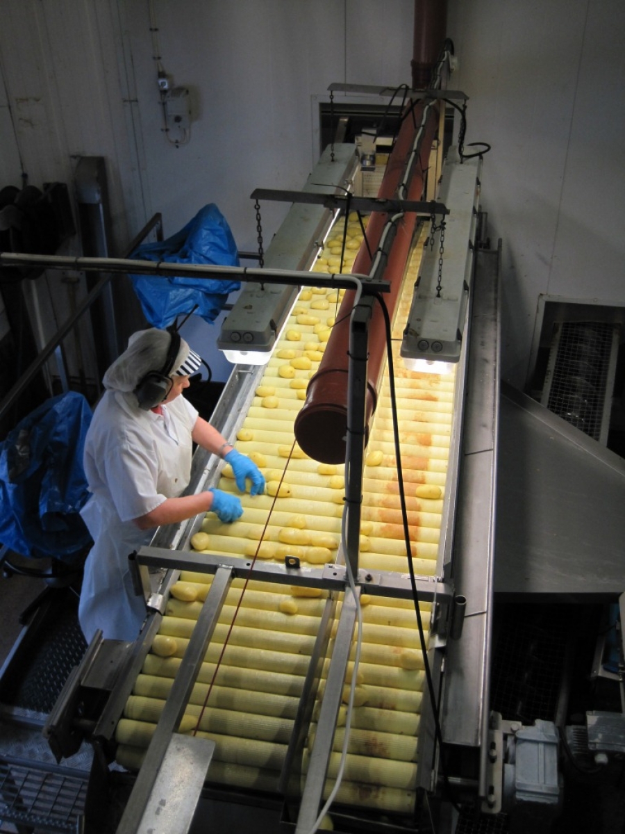 3662 Complete Potato Processing line