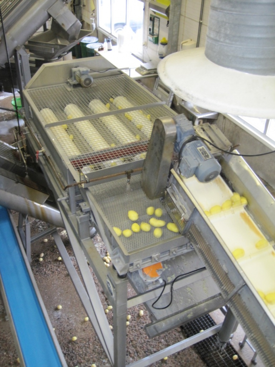 3662 Complete Potato Processing line