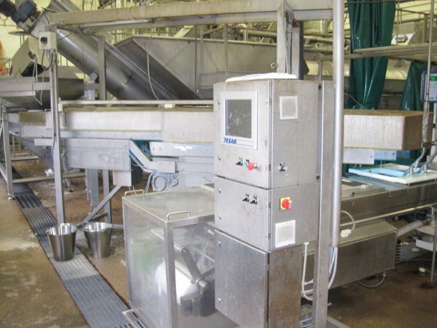 3662 Complete Potato Processing line