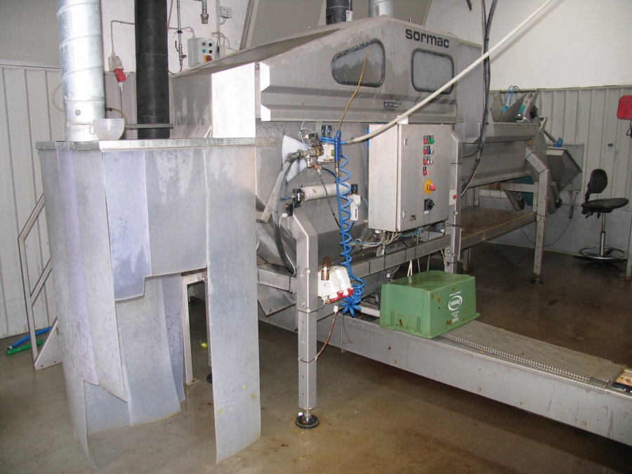 3663 Sormac onion peeling line 