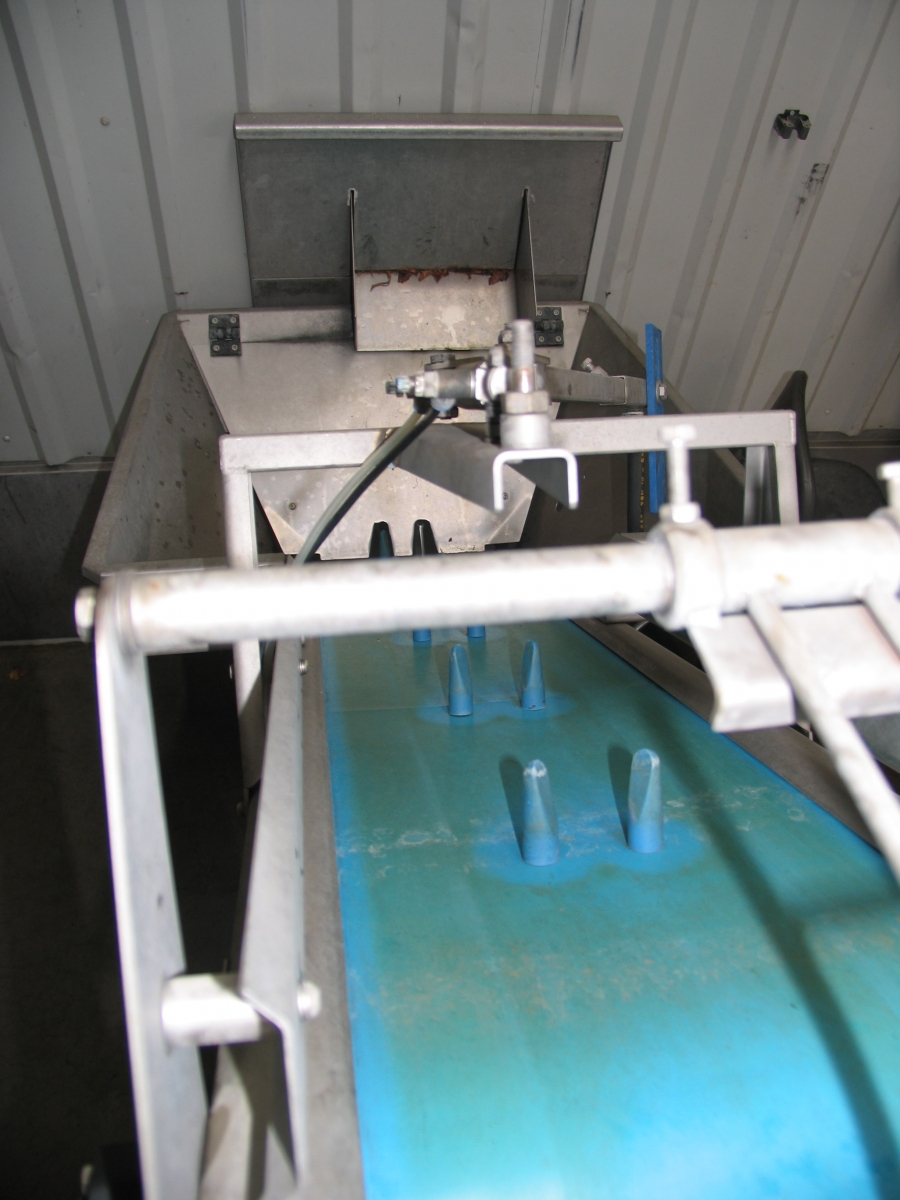 3663 Sormac onion peeling line 