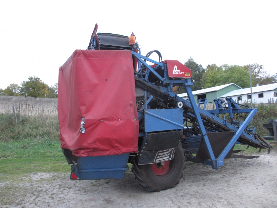 3668 Asa-Lift carrot harvester with elevator 2 row