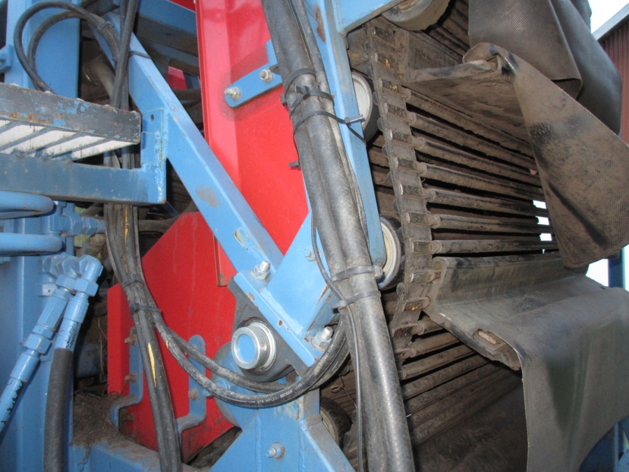 3668 Asa-Lift carrot harvester with elevator 2 row
