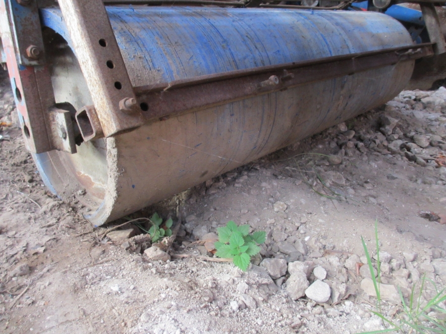 3714 Asa-lift onion windrower double sieving webs