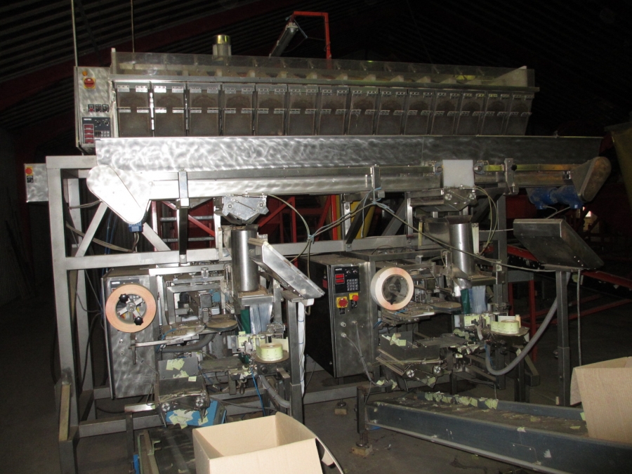 3731 Newtec 2014XBD Waage Komplettes Linie